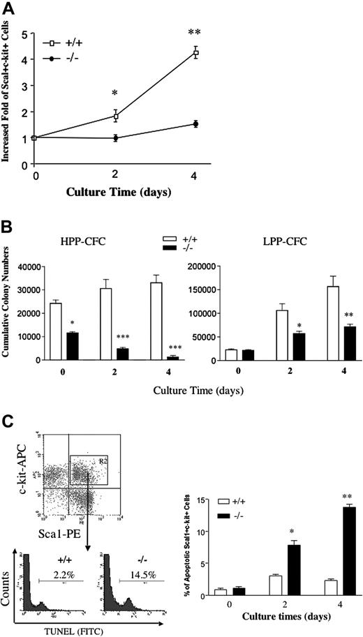 Figure 1. Effect of ex vivo culture on proliferation and apoptosis of Fancc-/- Sca1 +c-kit+Lin- (SCL) cells. (A) Expansion of SCL cells in liquid culture. SCL cells were incubated for 48 or 96 hours and the number of Sca1 +c-kit+ cells was determined using fluorescence cytometry. The mean fold increase of Sca1 +c-kit+ cells from 5 independent experiments is shown. Error bars represent the standard error of the mean (SEM). *P < .01, **P < .001 comparing Fancc-/- with WT. (B) Evaluation of primitive and mature clonogenic myeloid cells following ex vivo culture. SCL (106) cells were maintained in liquid culture for 0 to 4 days and then 2 × 103 cells were plated in semisolid media in triplicate cultures for growth of high proliferating potential colony-forming cells (HPP-CFCs) and low proliferating potential colony forming cells (LPP-CFCs). The mean cumulative colony numbers of HPP-CFCs and LPP-CFCs per culture from 5 independent experiments are shown. The error bars represent the SEM. *P < .05, **P < .01, *** P < .001 comparing Fancc-/- with WT. (C) Evaluation of apoptotic Sca1 +kit+ (SC) cells following ex vivo culture. (Left) A representative experiment demonstrating the gating method used for scoring apoptotic SC cells. SC cells were identified as described in “Purification and culture of SCL cells” and then evaluated for apoptosis by TUNEL. Bars indicate the percentage of apoptotic SC cells. The graph (right) shows the mean percentage of apoptotic SC cells from 4 independent experiments ± SEM. Error bars indicate SEM. *P < .01, **P < .001 comparing Fancc-/- with WT.