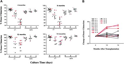 Figure 2. Ex vivo culture of Fancc-/- hematopoietic stem cells alters graft stability in competitive repopulation assays. Following culture for 0, 2, or 4 days in SCF and IL-6, Fancc-/- and WT “test cells” that express the CD45.2 isoantigen were cotransplanted into irradiated syngeneic recipients with isogenic bone marrow cells that express the CD45.1 antigen. WT cells were transplanted at a 3:1 test-competitor cell ratio and Fancc-/- cells were transplanted at a 6:1 test-competitor cell ratio. (A) Evaluation of test cell chimerism as a function of time. Peripheral blood test cell chimerism was determined using fluorescence cytometry at the indicated time points. The length of cell culture and the genotype of test cells are indicated. Each symbol represents the test cell chimerism of an individual recipient. Symbols with numbers or letters indicate specimens where SKY analysis was determined at postmortem. Red symbols indicate recipients with abnormal karyotypes. Horizontal lines indicate the mean chimerism of the experimental group. (B) The relationship between cytogenetic abnormalities and the flux in test cell chimerism following transplantation of Fancc-/- cells is shown. Symbols indicate individual mice.