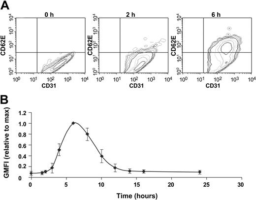 Figure 3. PF4 increases E-selectin surface expression on HUVECs. (A) Contour plots of flow cytometric analysis of HUVECs before (0 hours) and after (2 and 6 hours) PF4 exposure. Data are gated on CD31+ cells as described in “Materials and methods.” Data shown are representative of 3 or more independent experiments. (B) Quantitation of E-selectin expression. GMFI indicates the geometric mean of the fluorescence intensity. Data are presented as the mean ± SEM of 3 to 4 independent experiments.