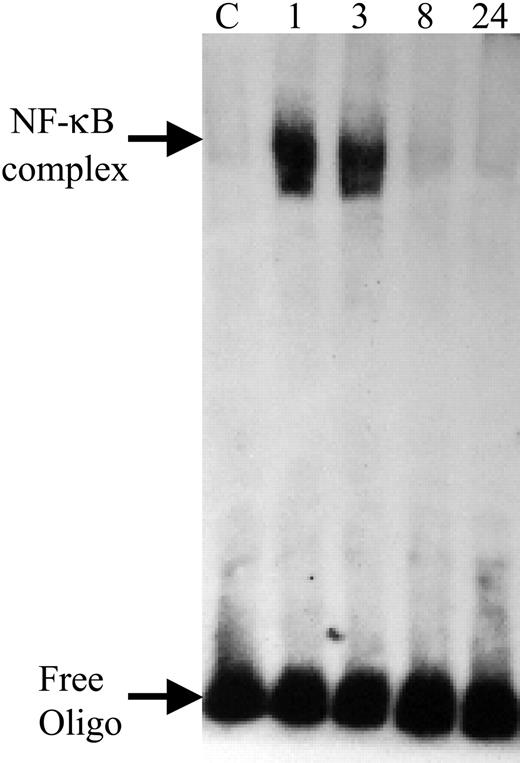 Figure 5. Time course of PF4 activation of NF-κB. EMSA demonstrating the binding of nuclear proteins to an oligonucleotide containing the NF-κB–binding site. HUVECs were incubated in the absence (C) or presence of PF4 (20 μg/mL) for 1, 3, 8, or 24 hours prior to assay. NF-κB–complex denotes shifted band corresponding to the binding of NF-κB to the oligonucleotide; free oligo denotes unbound oligonucleotide. Data are representative of at least 3 independent experiments.