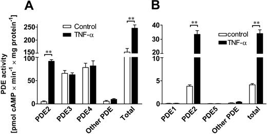 Figure 1. TNF-α increases PDE2 activity but not PDE3 or PDE4 activities. Isoenzyme-specific cAMP-PDE activity for PDE2, PDE3, and PDE4 (A) and cGMP-PDE activity for PDE1, PDE2, and PDE5 (B) were measured for control (□) and TNF-α–stimulated (▪) HUVECs. Cells were stimulated for 18 hours with 10 ng/mL TNF-α. PDE activity was normalized to total cellular protein and expressed as pmol cAMP (or cGMP) × minute-1 × mg protein-1. PDE2 activity for cAMP increased 19-fold in the presence of TNF-α, whereas activity of PDE3 and PDE4 did not change (A). Increase in total cAMP PDE activity of TNF-α–stimulated cells is almost entirely attributable to the rise in PDE2 activity. Other cAMP PDE activities distinct from PDE2, 3, or 4 were detected at very low levels. Using cGMP as substrate, PDE2 was identified as the only significant PDE activity in HUVECs (B). TNF-α stimulation (10 ng/mL) increased PDE2 and hence total cGMP activity more than 8-fold. Data presented are mean ± SEM of 4 independent experiments. **P < .01 versus untreated cells.