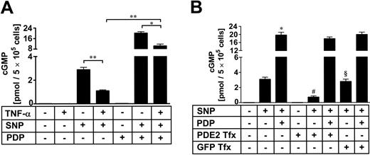 Figure 4. cGMP accumulation is reduced by TNF-α stimulation or PDE2 transfection. HUVECs were incubated with TNF-α (10 ng/mL) for 18 hours followed by PDP incubation (1 μM) for further 20 minutes. SNP (100 μM) was added for 5 minutes with subsequent lysis and measurement of total cellular cGMP levels using an enzyme-linked immunosorbent assay (A). Data presented are mean ± SEM of 5 independent experiments. *P < .05; **P< .01. PDE2A3 cDNA was cloned into the pcDNA3.1 expression vector. Of the pPDE2A3 expression plasmid, 0.1 μg was transfected into approximately 1 million HUVECs and harvested after 18 hours prior to stimulation and subsequent measurement of total cellular cGMP levels using an enzyme-linked immunosorbent assay (B). PDE2 inhibitor PDP (1 μM) was added 20 minutes prior to stimulation with SNP (100 μM) for 5 minutes with subsequent lysis and measurement of cGMP levels. Green fluorescent protein (GFP)–transfected cells were used as control. Data presented are mean ± SEM of 3 independent experiments. *P < .05 versus SNP-treated cells; #P < .05 versus SNP/PDP-treated cells; and §P < .05 versus SNP-treated/PDE2-transfected cells.