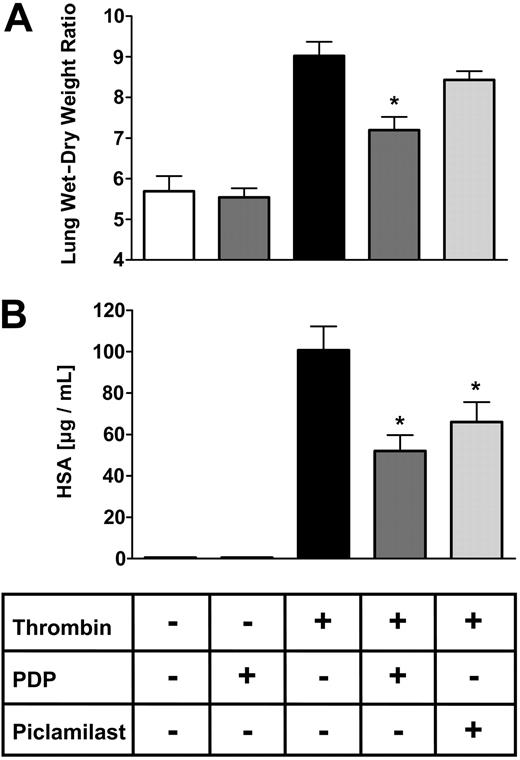 Figure 6. PDP reduced thrombin-related lung edema formation in mice lungs. Isolated mice lungs were perfused and ventilated for 45 minutes before administration of 750 μM thrombin within one minute. After a further 30 minutes, the experiment was terminated and lungs were used to measure wet-dry weight ratio (W/D) (A) or lung permeability for albumin (B). PDE inhibitors were added to the lung perfusate 10 minutes prior to thrombin stimulation. PDE4 inhibitor piclamilast and PDE2 inhibitor PDP were used at a concentration of 1 μM. Lung W/D is the ratio between the weight at the end of the experiment and the weight after drying of the lungs (A). PDE2 (PDP) inhibition reduced lung W/D, while PDE4 inhibition (piclamilast) did not show a significant reduction of lung edema formation. Albumin flux to the bronchoalveolar compartment was measured by admixing human serum albumin (HSA) to the perfusate at a concentration of 0.04% 20 minutes prior to thrombin stimulation and subsequent measurement of the HSA concentration in the bronchoalveolar lavage fluid after termination of the experiment (B). PDE2 (PDP) inhibition and PDE4 inhibition (piclamilast) reduced permeability for albumin. Data presented are mean ± SEM of 5 independent experiments. *P < .05.
