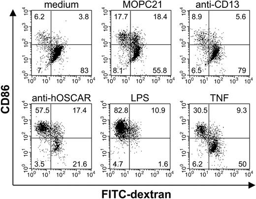 Figure 4. Stimulation through hOSCAR decreases the macropinocytic/endocytic activity of mono-DCs. After 48 hours of stimulation with coated antibodies (isotype controls, MOPC21 and anti-CD13 or anti-hOSCAR) or with 10 ng/mL LPS, and 20 ng/mL TNF, mono-DCs were incubated at 37°C for 30 minutes in the presence of FITC-dextran. The cells were then harvested, stained with anti-CD86–PE, and immediately analyzed by flow cytometry. Numbers in the corners correspond to the percentage of cells in each panel. Data shown are representative of 4 independent experiments.