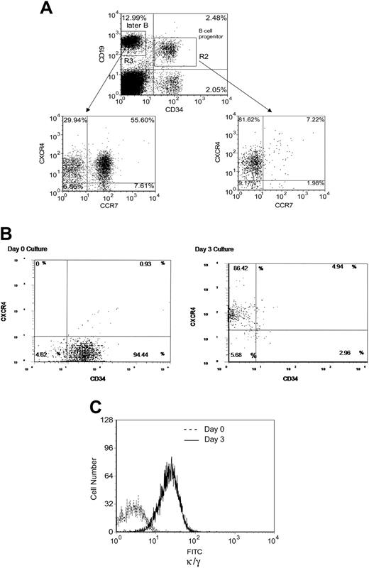 Figure 1. Flow cytometric analysis of CXCR4 expression in B-cell progenitor maturation. (A) Representative flow histograms of CD34+/CD19+ B-cell progenitor (gate R2) and CD34-/CXCR4+ later B cells (gate R3) sorted and analyzed for CCXCR4 and CCR7 expression. There was a surprisingly large fraction of CD34+/CD19+ B-cell progenitors that did not express the chemokine receptor CXCR4. More mature CD34-/CD19+ BM B cells express CXCR4 at a high level. The percentage of each subpopulation relative to the total number of cells in gates R2 or R3 is shown. (B) Representative flow histograms of CD34+/CD19+/CXCR4- cells cultured for 3 days in B-lymphoid conditions showing that the majority of cells lose expression of CD34 and a gain expression of CXCR4. The percentage of each subpopulation relative to the total number of cells is shown. (C) The majority of CD34+/CD19+/CXCR4- cells cultured in B-lymphoid conditions gain expression of κ/λ light chains. Text data are the average of 3 distinct experiments; this figure shows a representative histogram.