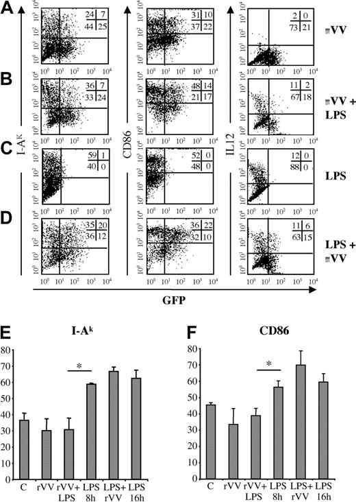Figure 1. rVV infection blocks DC maturation, while mature DCs infected by rVV maintain a mature phenotype. An rVV coding for GFP was used to infect DCs for 8 hours. rVV-infected immature DCs were mock treated (A) or exposed to LPS for 8 hours (B). Cells were then analyzed by fluorescence-activated cell sorting (FACS) for expression of GFP, I-Ak, and CD86 and for IL-12 production. Mock-infected cells exposed to LPS (C) were analyzed as controls. To overcome rVV interference with DC maturation, DCs were first matured for 8 hours with LPS, then infected with rVV-GFP (D) and analyzed to determine infection efficiency and level of activation. The average expression of I-Ak (E) and CD86 (F) in the different samples are shown (average of 3 experiments).