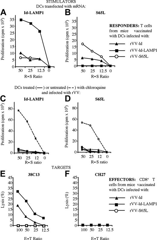 Figure 3. Induction of a Id-specific CD4+ and CD8+ responses by Id-LAMP1 vaccine. Mice were vaccinated once with 0.3 × 106 mature DCs infected with rVV-Id (▴), rVV-Id-LAMP1 (▪), and rVV-S65L (○) as negative control. Fourteen days after vaccination, mice were killed, and splenocytes were stimulated with irradiated 38C13 tumor cells. After 8 days of culture, CD4+ effectors were selected and tested in a 72-hour proliferation assay using as stimulators DCs transfected with mRNAs coding for Id-LAMP1 (A) and S65L (B) or DCs treated (solid line) or untreated (dashed line) with chloroquine and infected with rVV-Id-LAMP1 (C) or rVV-S65L (D). At 5 days of culture, a cytotoxicity assay was performed using as effectors CD8+-selected T cells and as targets the 38C13 (E) or the irrelevant CH27 (F) cell lines.