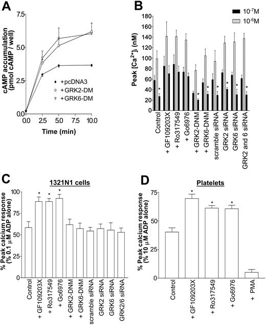 Figure 6. P2Y1 receptor desensitization is mediated through a PKC-dependent but GRK2- and GRK6-independent mechanism. Cells stably transfected with P2Y1 purinergic receptor construct were transiently transfected with pcDNA3-K220RGRK2 (GRK2-DNM), pcDNA3-K215RGRK6 (GRK6-DNM), vector alone (control), or scrambled GRK2- or GRK6-specific siRNA constructs. Cells were incubated in the absence or presence of the PKC inhibitors GF109203X (2 μM), Ro317549 (1 μM), or Gö6976 (1 μM) for 15 minutes before experiments. Desensitization was assessed by comparing calcium responses with those of ADP (0.1 μM) before or after a pretreatment addition of ADP (1 μM; 2 minutes), as detailed in “Materials and methods.” Values represent the mean ± SEM of 4 independent experiments. (A) Expression of GRK2-DNM (○) and GRK6-DNM (▿)in P2Y1-expressing 1321N1 cells enhances endogenous β2-adrenoceptor activity by decreasing the rate of desensitization of the receptor. Isoproterenol (1 μM)–induced cAMP accumulation (0-10 minutes) was assessed in 1321N1 cells. ⬡ indicates vector alone. Data represent mean ± SEM of 4 independent experiments and are expressed as pmol cAMP per well. (B) Fura-2AM–loaded cells were sequentially treated with ADP (0.1 μM) (left column of each triplet; ▪) to act as the control response, then with a desensitizing concentration of ADP (1 μM; middle column of each triplet; ▪), followed by a further test dose (0.1 μM ADP; right column in each triplet; ▪). Asterisks show responses where there is significant desensitization (right column compared with left column of each triplet; P < .05, Mann-Whitney U test). (C) Results are expressed as the response to 0.1 μM ADP after a desensitizing dose (1.0 μM ADP) as a percentage of the control response to 0.1 μM ADP. Asterisks indicate where responses are significantly desensitized relative to controls (P < .05, Mann-Whitney U test). (B-C) Data are mean ± SEM (n = 3). (D) P2Y1 receptor desensitization is mediated in part by PKC in human platelets. Platelets were pretreated with the PKC inhibitors GF109203X (2 μM), Ro317549 (1 μM), or Gö6976 (1 μM) or with the PKC activator PMA (100 nM; 15 minutes). Pretreatment of platelets with any of these agents induced no change in cytosolic calcium (data not shown). Platelets were treated with ADP (1 μM; 30 seconds) and then with 0.2 U/mL apyrase for another 180 seconds, and they were restimulated with 10 μM ADP. Receptor desensitization was assessed by comparing a percentage of desensitization of peak calcium responses to controls that had been treated identically except for the lack of pretreatment with desensitizing ADP. Values are mean ± SEM (n = 3), and results are expressed as the ADP response after a desensitizing dose as a percentage of the control response. Asterisks indicate statistical significance at P < .05 for data compared with ADP pretreatment without PKC activator or inhibitor (control; Mann-Whitney U test).