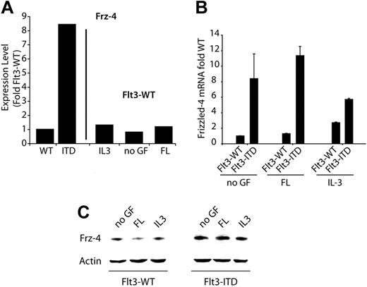Figure 1. Frizzled-4 is regulated by activating Flt3 mutations. (A) Bar graph representing the relative Frizzled-4 mRNA expression levels as analyzed by microarray analyses.35 Expression levels in Flt3-WT, either stimulated with FL or left untreated, were set as 1. (B) Quantitation of Frizzled-4 mRNA levels by real-time RT-PCR. The 32D cells stably transfected with either wild-type Flt3 (Flt3-WT) or Flt3-ITD were depleted from IL-3 and cultured for 36 hours in FL (Flt3-WT) or without cytokines (Flt3-ITD). Then, the indicated growth factors were added for an additional 12 hours. Samples were taken for RNA preparation, and real-time RT-PCR analyses were performed. The mean of the Flt3-WT level was set as 1. Each bar represents the mean of 2 independent experiments ± SD. (C) Detection of Frizzled-4 protein levels. 32D/Flt3-WT or 32D/Flt3-ITD cells were cultured for 12 hours in the absence of growth factors. Subsequently, the indicated growth factors were added for 6 hours. Frizzled-4 protein levels were determined by Western blot analyses.
