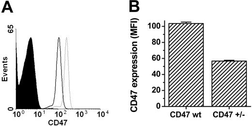 Figure 1. Platelets express CD47. (A) Flow cytometric profiles of CD47 expression on platelets from CD47-/- (filled curve), CD47+/- (solid line), and CD47+/+ mice (dotted line). (B) Comparison of CD47 expression levels on CD47+/+ (CD47 wt; n = 9) and CD47+/- (n = 6) platelets. Data are means ± SEMs. MFI indicates mean fluorescence intensity.