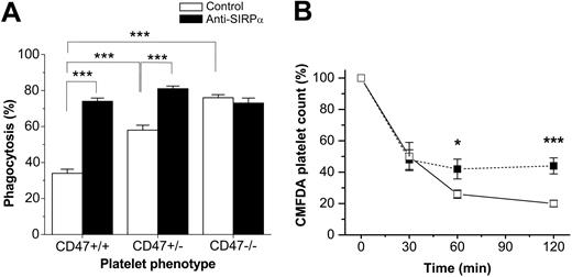 Figure 6. CD47/SIRPα interaction can strongly reduce macrophage phagocytosis of 6A6-opsonized platelets. (A) Platelets were isolated from CD47+/+, CD47+/-, or CD47-/- C57BL/6 mice, labeled with the cell tracker CMFDA, opsonized with 0.65 μg/mL mAb 6A6, and incubated with CD47+/+ bone marrow–derived macrophages for 30 minutes at 37°C and 5% CO2. Macrophages were pretreated with 75 μg/mL anti-SIRPα mAb P84 (▪) or isotype control mAb (□) for 15 minutes before addition of platelets. Macrophages were then treated and scored for phagocytosis as described in “Materials and methods.” Data are means ± SEMs for 3 to 4 experiments in each group. ***P < .001, using Student t test for paired or unpaired comparisons. (B) Platelets were isolated from CD47+/+ or CD47+/- C57BL /6 mice, labeled with the cell tracker CMFDA, and injected into CD47+/+ recipient mice. Experimental ITP was then induced by injection of mAb 6A6 at 0.3 μg/g body weight, and clearance of CD47+/- (□) or CD47+/+ platelets (▪) was followed as described in the legend to Figure 3. Data are means ± SEMs for 5 mice in each group. *P < .05 and ***P < .001, using Student t test for paired comparisons.