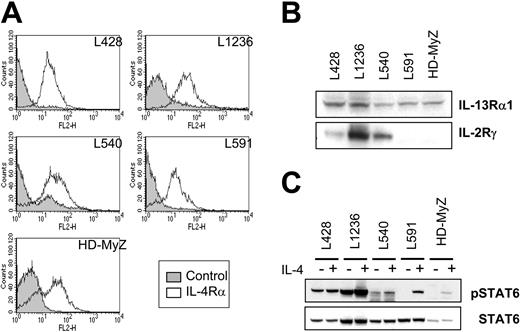 Figure 1. Expression of IL-4R subunits and STAT6 activation induced by IL-4 in human H-RS cell lines. (A) Expression of IL-4Rα chain on 5 H-RS cell lines was assessed by flow cytometry using phycoerythrin-conjugated anti–IL-4Rα monoclonal antibody (open curve). Staining with isotype-matched IgG served as control (shaded curve). (B) Cell lysates prepared from H-RS cell lines were subjected to immunoblotting analysis to assess the expression of IL-4R subunits. (C) Antibody to Tyr-641–phosphorylated STAT6 or whole STAT6 proteins was reacted with membranes with cell lysates from H-RS cells stimulated with or without IL-4.