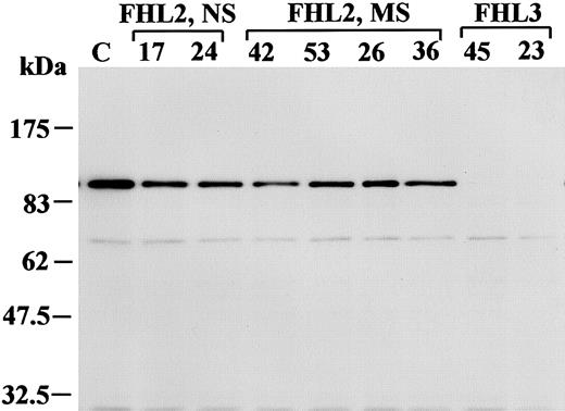 Figure 5. MUNC13-4 expression by Western blot analysis in FHL patients. Cell extracts from the T cells of healthy control (C), FHL2, and FHL3 patients (20 μg each) were analyzed by Western blot with anti–MUNC13-4 antibody. The data represent 3 independent experiments. NS indicates nonsense mutation; and MS, missense mutation. The numbers above the lanes correspond to the UPNs of patients listed in Table 2.
