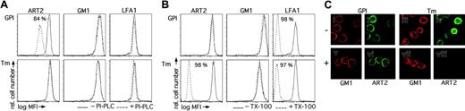 Figure 2. ART2.2-GPI but not ART2.2-Tm is released from cells by exogenous PI-PLC treatment, whereas ART2.2-Tm but not ART2.2-GPI is released from cells by treatment with TX-100 at 4°C. (A) DC27.10 cells stably transfected with ART2.2-GPI or ART2.2-Tm were incubated for 60 minutes at 37°C in the absence (solid lines) or presence (dashed lines) of PI-PLC. Cells were then washed and stained for cell-surface expression of GM1, ART2.2, or LFA-1 before FACS analysis. Number indicates the percentage reduction of the mean fluorescence intensity of PI-PLC treated compared with untreated ART2.2-GPI transfectants. (B) DC27.10 cells stably transfected with ART2.2-GPI or ART2.2-Tm were stained for cell-surface expression of GM1, ART2.2, or LFA1. Cells were then washed and incubated for 10 minutes at 4°C with or without 1% TX-100 before fixation and FACS analysis. Numbers indicate percentage reduction of mean fluorescence intensity of TX-100–treated compared with untreated cells. (C) DC27.10 cells stably transfected with ART2.2-GPI or ART2.2-Tm were stained for cell surface expression of GM1 and ART2. Cells were then washed and incubated for 10 minutes at 4°C with (+) or without (-) 1% TX-100 before fixation and confocal microscopic analysis. Results are representative of 3 independent experiments.