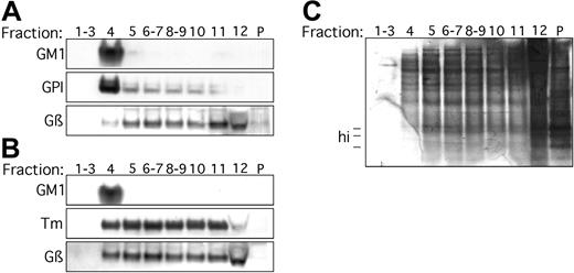 Figure 4. ART2.2-GPI segregates with the lipid raft fraction in sucrose gradients. DC27.10 cells stably transfected with ART2.2-GPI (A) or ART2.2-Tm (B) were solubilized by ultrasonication in 1% TX-100 at 4°C. Lysates were subjected to sucrose gradient centrifugation. Isopycnic equilibrium was achieved by centrifugation at 200 000g for 14 hours. Twelve fractions were harvested from the top of the gradient. Fractions 1-3, 6-7, and 8-9 were pooled. Fraction 4 contained the visible opaque band at the 5%/30% sucrose interface. The pellet at the bottom of the tube was resuspended by ultrasonication in 2% SDS. Proteins in individual or pooled fractions were precipitated and were subjected to SDS-PAGE immunoblot analysis using anti-ART2.2 mAbs 9-13/10-6, anti-Gβ, pAb, T20, and CT. Total protein in each fraction was visualized by silver staining (C). Results are representative of 3 independent experiments.
