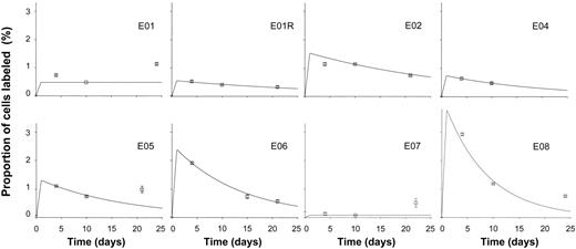 Figure 2. Labeling kinetics of peripheral blood B cells in healthy elderly subjects. Values depicted as for Figure 1.