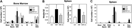 Figure 4. Normal distribution of mature cells in the bone marrow and spleen of gp130Y757F/Y757F:Stat3+/- mice. (A) Bone marrow cells from gp130+/+ (□), gp130Y757F/Y757F (▪), and gp130Y757F/Y757F:Stat3+/- (▦) mice were cytocentrifuged and stained with May-Grunwald-Giemsa solution. (B) Weight and cellularity of spleens from the above mice. (C) Cytocentrifuge analysis of spleen cells as in panel A. Data from 5 mice of each genotype are expressed as the mean ± SD. *P < .05 versus data from gp130+/+ mice. PM/Myelo indicates myeloblast/myelocyte; PMN/MM, neutrophil/metamyelocyte; L, lymphocyte; M, monocyte; E, eosinophil; and Nuc RBC, nucleated red blood cell.