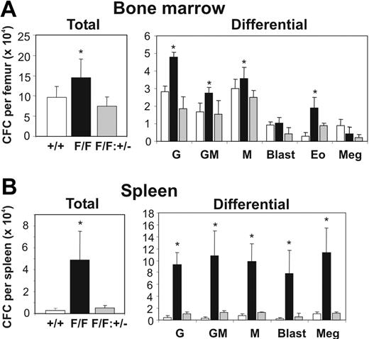 Figure 5. Normalization of hematopoietic progenitor cell formation in gp130Y757F/Y757F: Stat3+/- mice. In vitro hematopoietic colony formation of (A) bone marrow cells and (B) spleen cells from gp130+/+ (□), gp130Y757F/Y757F (▪), and gp130Y757F/Y757F: Stat3+/- (▦) mice in semisolid agar containing SCF (50 ng/mL) and IL-3 (10 ng/mL). Data from 4 to 6 mice of each genotype are expressed as the mean ± SD. *P < .05 versus data from gp130+/+ mice. G indicates granulocyte; GM, granulocyte/macrophage; M, macrophage; Eo, eosinophil; and Meg, megakaryocyte.
