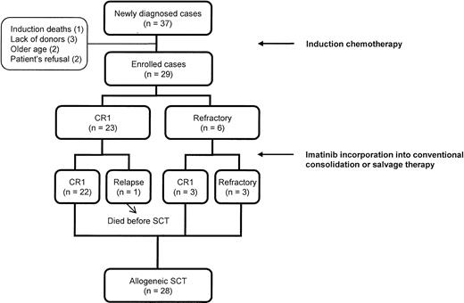 Figure 1. Overall scheme of disease status until the time of allogeneic stem cell transplantation in patients treated with imatinib interim therapy.