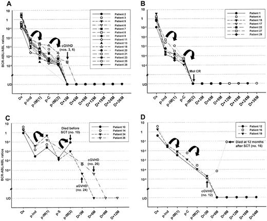 Figure 2. Kinetics of the BCR-ABL transcript and its clinical correlation in 29 patients with Ph+ ALL treated with imatinib interim therapy. (A) Plot showing quantitative MRD levels for 15 patients with hematologic CR after imatinib interim therapy. (B) Plot showing quantitative MRD levels for 7 patients with molecular CR after imatinib interim therapy. Their median BCR-ABL/ABL ratios decreased by 0.83 log after the first imatinib cycle and 0.34 log after the second imatinib cycle, respectively. (C) Plot showing quantitative MRD levels for 4 patients with a primary refractoriness to imatinib therapy. One patient (patient no. 10) died of septicemia before transplantation. (D) Plot showing quantitative MRD levels for 3 refractory patients after induction chemotherapy. These patients achieved CR with a decrease in MRD after imatinib therapy. Twenty-five patients underwent allogeneic SCT with a first CR (A + B + D), while the remaining 3 patients had resistant leukemia at the time of SCT (C). Of these, 7 patients (patient nos. 3, 6, 12, 16, 19, 24, 26) still had residual leukemia at 3 or 6 months after SCT. However, with the exception of 2 cases (patient nos. 16, 19), their BCR-ABL/ABL ratios rapidly decreased to an undetectable level after the development of acute (patient no. 24) or chronic (patient nos. 3, 6, 12, 26) GVHD induced by the rapid withdrawal of cyclosporine. Of 2 patients without GVHD, 1 (patient no. 16) showed an increase in MRD at 6 months (1.35 × 10-5 → 6.78 × 10-5) and subsequently died of overt hematologic relapse following a further increase in MRD (8.12 × 10-2) at 12 months after SCT. The overall treatment outcomes of the patients receiving imatinib interim therapy are listed in Table 4. Dx indicates diagnosis; p, post (ie, after); Ind, induction; C, consolidation; IM, imatinib; S, salvage chemotherapy; M, months; aGVHD, acute GVHD; cGVHD, chronic GVHD.