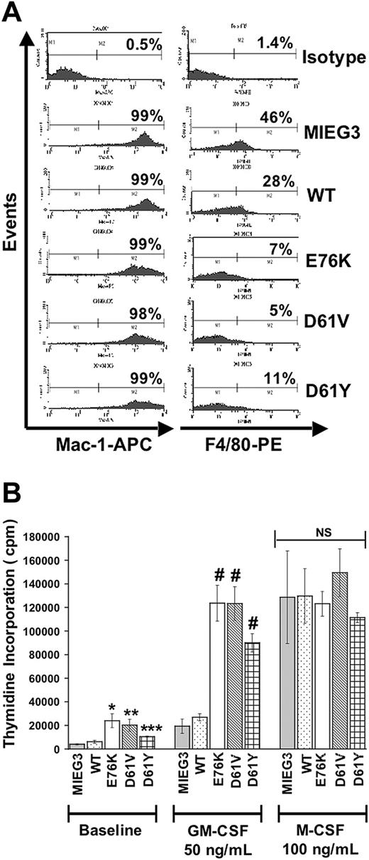 Figure 3. PTPN11 mutants E76K, D61V, and D61Y induce macrophage progenitor hyperproliferation in response to GM-CSF but not to M-CSF. (A) Sorted EGFP+ cells subjected to macrophage progenitor differentiation conditions were stained with anti–Mac-1 or with anti-F4/80 and analyzed using FACS. Representative FACS analysis showing the percentage of Mac-1+ or F4/80+ cells is depicted; 2 independent experiments conducted with consistent results. (B) Macrophage progenitor cultures were serum- and growth factor–deprived for 24 hours and then stimulated with GM-CSF or M-CSF. Data shown as ± SEM. For pMIEG3, WT, E76K, and D61V, 3 independent experiments with each condition in triplicate were conducted; for D61Y, 2 independent experiments with each condition in triplicate were conducted. Statistical analysis was conducted using random-effects ANOVA to deal with repeated measurements from triplicate conditions; *P < .0001 for E76K vs MIEG3 or WT; **P = .0002 for D61V vs MIEG3 and **P = .0014 for D61V vs WT; ***P = .019 for D61Y vs MIEG3 and ***P = .074 for D61Y vs WT; #P < .0001 comparing E76K, D61V, or D61Y to MIEG3 or WT following GM-CSF treatment. No statistical difference was observed between cultures following stimulation with M-CSF.