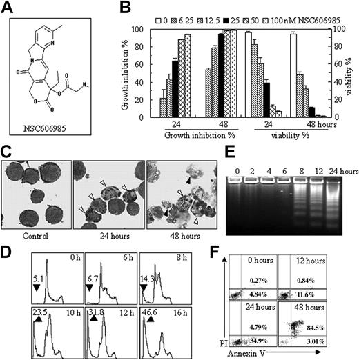 Figure 1. NSC606985 at nanomolar concentrations induces apoptosis in NB4 cells. (A) Chemical structure of NSC606985 (adapted from Rapisarda et al20; image reproduced with permission from the American Association for Cancer Research). (B) NB4 cells were treated with NSC606985 for 24 and 48 hours at the indicated concentrations, and growth-inhibiting percentages (left) and viability (right) were measured by trypan-blue exclusion assay. Each column represents the mean + SD of triplicates in an independent experiment. (C) NB4 cells treated with or without 25 nM NSC606985 for the indicated times were collected onto slides by cytospin, stained with Wright stain, and examined under an Olympus BX60 microscope equipped with a 100 ×/1.3 objective lens (Olympus, Tokyo, Japan). Images were acquired through a SPOT RT camera and SPOT software (Diagnostic Instruments, Sterling Heights, MI). Open arrowheads indicate apoptotic cells, and filled arrowheads point to secondary necrotic cells. (D-E) NB4 cells were treated with 25 nM NSC606985 for the indicated times, and analyses of nuclear DNA content distribution (D), DNA fragmentation (E),and annexin-V assay (F) were performed as described in “Patients, materials, and methods.” The arrow-pointed numbers in panel D represent the percentage of apoptotic cells, and the values are the mean of triplicates. The numbers in panel F represent the percentage of annexin-V+/PI- (lower right quadrant) and annexin-V+/PI+ (upper right quadrant) cells. All experiments were repeated 5 times with similar results.