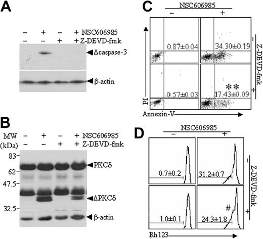 Figure 6. Caspase-3 inhibitor, Z-DEVD-fmk, partly inhibits NSC606985-induced proteolysis of PKCδ proteins and apoptosis in NB4 cells. NB4 cells were preincubated with 40 μM Z-DEVD-fmk for 1 hour and then treated with or without 25 nM NSC606985 for 12 hours. The active caspase-3 (A) and PKCδ proteins (B) were detected by Western blots. ΔPKCδ indicates cleaved 41-kDa fragment of PKCδ proteins. The annexin V (C) and mitochondrial ΔΨm (D) were measured on flow cytometry. The numbers in panels C and D indicate the percentages of annexin-V+/PI- cells and low ΔΨm cells, respectively. The numbers are the mean ± SD of a triplicate experiment. **P < .01 and #P > .05 by the Student t test, compared with NSC606985 treatment alone.