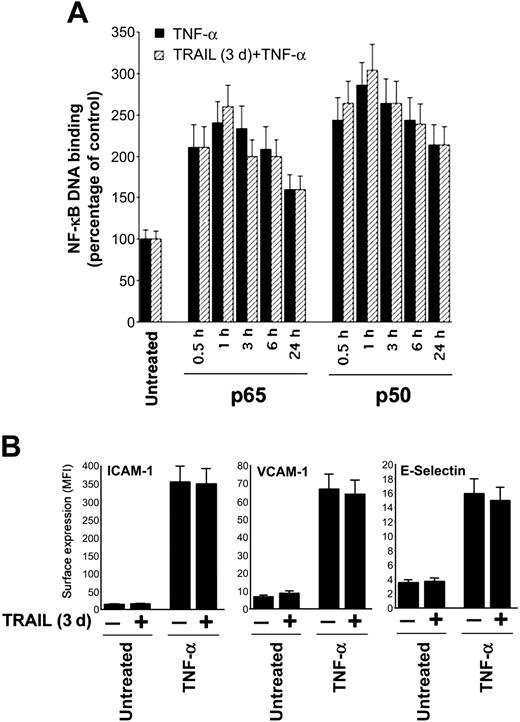 Figure 3. TRAIL pretreatment does not affect TNF-α-induced NF-κB activation. HUVECs were either left untreated or pretreated with TRAIL for 3 days before stimulation with TNF-α. (A) NF-κB-p65 and NF-κB-p50 DNA-binding activity was determined at the indicated time points as absorbance values and is expressed as percentage of untreated control. ▪ indicates TNF-α; ▨, pretreated with TRAIL. (B) Analysis of surface leukocyte adhesion molecules (VCAM-1, ICAM-1, E-selectin) was performed by flow cytometry and is reported as mean fluorescence intensity (MFI). Results are expressed as means ± SD of 3 (for panel A) or 8 (for panel B) independent experiments.
