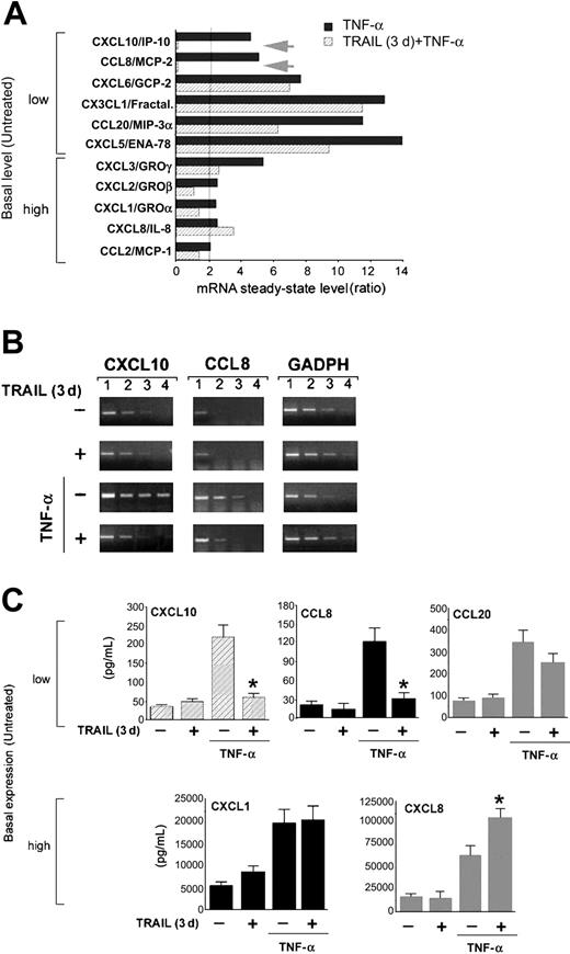 Figure 4. The antiadhesive activity of TRAIL is mediated by down-regulation of chemokines. Differential chemokine gene expression was assessed by cDNA microarray analysis in HUVECs, either left untreated or pretreated with TRAIL for 3 days, before stimulation with TNF-α. (A) Ratios represent TNF-α (▪) or TRAIL (3 days) plus TNF-α (▨) values divided by untreated values. The cut-off of 2-fold of induction is shown as a vertical line. Arrows indicate the genes most significantly down-modulated by the TRAIL pretreatment. (B) Microarray results were validated by semiquantitative RT-PCR (1-4, serial scalar dilutions of the RNA templates; GAPDH, housekeeping gene). (C) Chemokine release by HUVECs either left untreated or pretreated with TRAIL for 3 days, before stimulation with TNF-α, was measured by ELISA. Results are expressed as means ± SD of 3 independent experiments, each performed in triplicate. *P < .05.