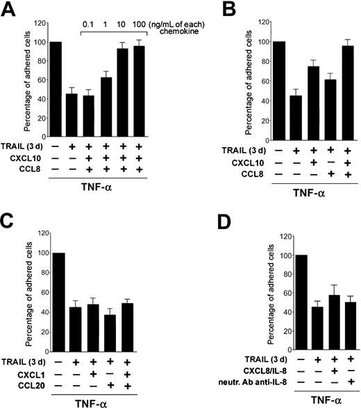 Figure 6. The antiadhesive activity of TRAIL is reverted by addition of CXCL10 and CCL8. HUVEC were either left untreated or pretreated for 3 days with TRAIL before addition of TNF-α and adhesion assay. When indicated, recombinant CXCL10 and CCL-8 (A-B), CXCL1 and CCL20 (C), and IL-8 and neutralizing Ab anti-IL-8 (D) were added to the cultures either alone or in combination. TNF-α-induced HL-60 cell adhesion to HUVECs was set as 100%. Results are expressed as means ± SD of 3 to 4 independent experiments, each performed in triplicate.