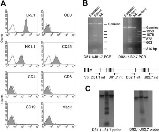 Figure 4. Phenotypic markers of the KIL cell line. (A) Flow cytometric analysis of the expression of Ly5.1 (CD45), CD3, NK1.1, CD25, CD4, CD8, CD19, and Mac-1. Open curve indicates isotype control. (B) Nested PCR analyses of D-J rearrangements of TCRβ loci. Genomic DNAs of W20 stromal fibroblasts (negative control),12 B6D2F1 spleen cells (positive control), and KIL were first amplified using external primer sets (Dβ1.1ext/Jβ1.7ext or Dβ2.1ext/Jβ2.7ext) and then re-amplified using internal primer sets (Dβ1.1int/Jβ1.7int or Dβ2.1int/Jβ2.7int). Aliquots of secondary PCR reactions were run on agarose gels and stained with ethidium bromide. DNA fragments resulting from amplification of the germline loci are indicated. (C) The same blots in panel B were probed with P32-labeled Dβ1.1-Jβ1.7 or Dβ2.1-Jβ2.7 probes. All DNAs amplified from the germ-line and rearranged D-J loci hybridize specifically to the respective probe.