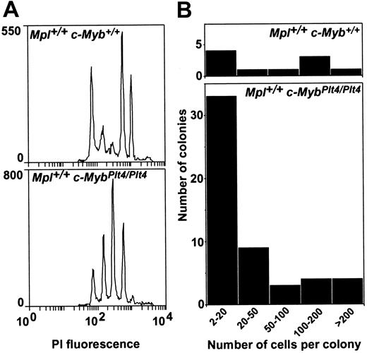 Figure 1. Megakaryocytopoiesis in Mpl+/+ c-MybPlt4/Plt4 mice. (A) Reduced modal ploidy in megakaryocytes from Mpl+/+ c-MybPlt4/Plt4 mice. The propidium iodide (PI) fluorescence intensity, representing cellular DNA content, in CD41+ bone marrow cells is shown. (B) Reduced size of megakaryocyte colonies in cultures of Mpl+/+ c-MybPlt4/Plt4 bone marrow. The number of cells in each acetylcholinesterase-positive megakaryocyte colony was scored by microscopic examination of stained cultures.