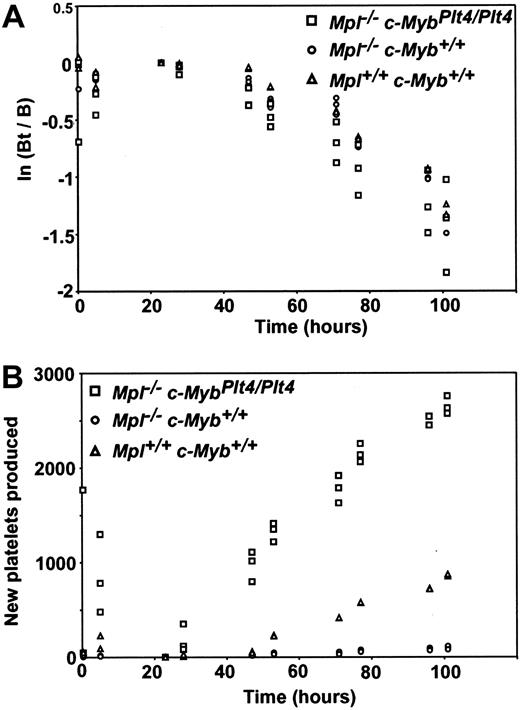Figure 2. Clearance of platelets in Mpl-/- c-MybPlt4/Plt4 mice. Platelets were biotinylated in vivo, and then blood samples were collected at the times indicated. Platelets were identified flow cytometrically on the basis of size and CD41 positivity. (A) To measure platelet clearance, the number of labeled platelets at a given time (Bt) was divided by the initial number of labeled platelets (B, at 24 hours after biotin injection), and the logarithm of this ratio was plotted against time. (B) To monitor platelet production, the number of new unlabeled platelets (the number of unlabeled platelets at a given time less the initial number of unlabeled platelets) was plotted against time. Each point represents data from 2 to 3 mice of each genotype. □ indicates Mpl-/ c-MybPlt4/Plt4; ○, Mpl-/- c-Myb+/+; and ▵, Mpl+/+ c-Myb+/+.