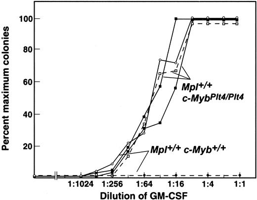 Figure 3. Hyperresponsiveness of Mpl+/+ c-MybPlt4/Plt4 mutant megakaryocyte progenitor cells, but not granulocyte and/or macrophage progenitors, to GM-CSF. The unbroken lines depict similar GM-CSF dose response curves for granulocyte-macrophage colony formation from 2 Mpl+/+ c-MybPlt4/Plt4 and a control Mpl+/+ c-Myb+/+ bone marrow. In contrast, for megakaryocyte colony formation, Mpl+/+ c-MybPlt4/Plt4 marrow exhibited hyperresponsiveness (broken line), with maximal stimulation at doses similar to that for granulocyte-macrophage colony formation. No megakaryocyte colonies were evident from Mpl+/+ c-Myb+/+ marrow at the doses shown; 1:1 represents a GM-CSF concentration of 10 ng/mL.