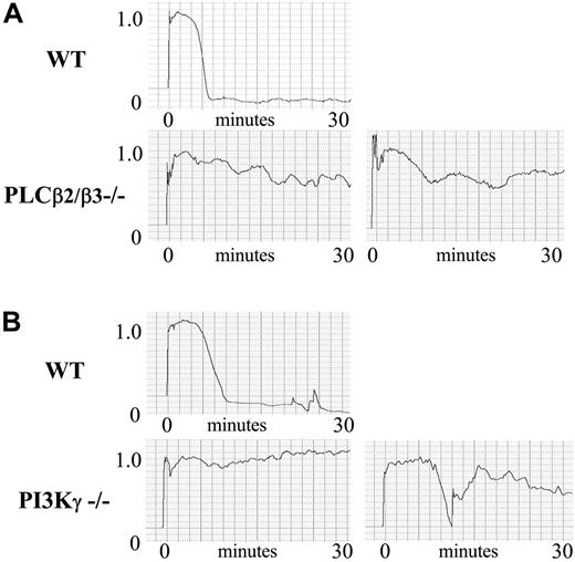 Figure 2. Effect of PI3Kγ- or PLCβ2/β3-null mutations on in vivo thrombosis. Carotid injury was induced by application of FeCl3-soaked filter paper for 2 minutes, and vessel occlusion was monitored by a Doppler ultrasound. The Doppler tracings show flow (milliliters per minute) on the y axis and time on the x axis. Control mice typically developed stable occlusions within their injured arteries. In contrast, PLCβ2/β3 and PI3Kγ knock-out mice both failed to form stable arterial occlusions in response to chemical injury.