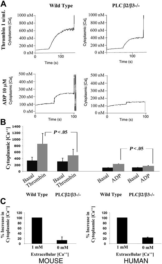 Figure 3. Platelet cytoplasmic calcium concentration in PLCβ2/β3-null platelets. Washed murine platelets were incubated with a calcium fluorophore (Fura-2 AM) and then stimulated with either 1 U/mL thrombin or 10 mM ADP. The concentration of cytoplasmic calcium (nM) was quantitated as a function of time. (A) Representative fluorimetry tracings of experiments using thrombin- or ADP-stimulated wild-type and PLCβ2/β2-null platelets. (B) A graph displaying the mean ± SEM of the cytosolic calcium concentration for 6 experiments. (C) A graph demonstrating the influence of the extracellular calcium concentration on the ability of platelets to raise their cytoplasmic calcium concentration in response to 1 U/mL thrombin. The change in cytosolic calcium was normalized to the response seen in wild-type cells. The graphs show the mean ± SEM for 3 experiments.