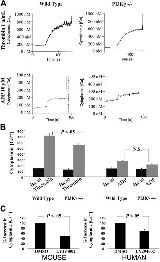 Figure 4. Platelet cytoplasmic calcium concentration in PI3Kγ-null platelets. Washed murine platelets were incubated with a calcium fluorophore (Fura-2 AM) and then stimulated with either 1 U/mL thrombin or 10 mM ADP. The concentration of cytoplasmic calcium (nM) was quantitated as a function of time. (A) Representative fluorimetry tracings of experiments using thrombin- or ADP-stimulated wild-type and PI3Kγ-null platelets. (B) A graph displaying the mean ± SEM of the cytosolic calcium concentration for 3 experiments. (C) A graph demonstrating the influence of the extracellular calcium concentration on the ability of platelets to raise their cytoplasmic calcium concentration in response to 1 U/mL thrombin. The change in cytosolic calcium was normalized to the response seen in wild-type cells. The graph shows the mean ± SEM for 3 experiments.