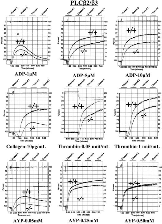 Figure 6. Aggregation tracings of platelets lacking PLCβ2/β3. Murine platelets lacking PLCβ2/β3 were analyzed after agonist stimulation in a Lumi-dual Aggregometer. Platelets lacking both PLCβ2 and PLCβ3 have a defect in aggregation in response to ADP and low doses of thrombin and exhibit impairment in the second wave of aggregation. Results are representative of 9 experiments performed to date.
