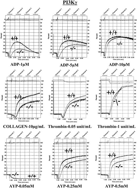 Figure 7. Aggregation tracings of platelets lacking PI3Kγ. Murine platelets lacking the γ isoform of PI3K were analyzed after agonist stimulation. Platelets lacking PI3Kγ had a mild defect in agonist-mediated aggregation associated with an impaired second wave of aggregation. Results are representative of 7 experiments performed to date.