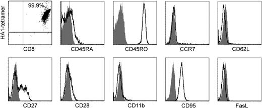 Figure 4. Phenotypic characterization of CD8+ LD-aAPC–induced CTLs from D2 after MACS purification of tetramer-positive cells and 2 weeks of in vitro expansion. The dot plot shows staining with HA-1 tetramer PE and CD8 APC Ab. The percentage of CD8+ HA-1 tetramer–positive cells is given in the right upper quadrant. A tetramer loaded with the HIV peptide was used as a control (not shown). Histograms show expressed antigens (open curves) and the respective controls (shaded curves). CD62L indicates CD62 ligand; FasL, Fas ligand.