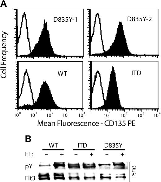 Figure 1. Surface expression and autophosphorylation of Flt3 receptors. 32D cells were transfected with constructs encoding either Flt3-WT or Flt3-D835Y or Flt3-ITD. (A) Flow cytometric analyses of Flt3 surface expression on 32D cells. The shaded curves show staining with anti-Flt3 antibody; the open curves, the isotype control. (B) Flt3 was immunoprecipitated from 32D cells expressing the indicated Flt3 constructs. Immunoprecipitates were resolved on 4% to 15% SDS-PAGE and immunoblotted for 4G10, an antibody specific for phosphotyrosine. Equal loading was confirmed by reprobing with an antibody recognizing activation independent state of Flt3.