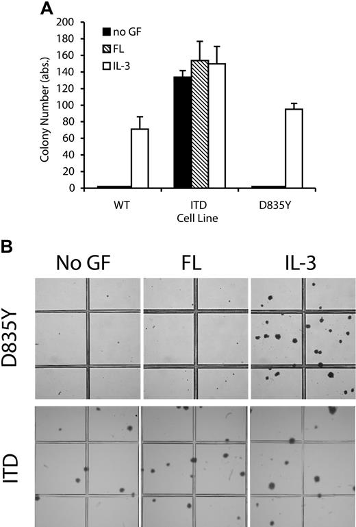 Figure 3. Flt3-D835Y does not induce clonogenic growth of 32D cells in semisolid media. The 32Dcl3 cells stably expressing the indicated Flt3 constructs were plated in triplicate at a concentration of 1000 cells/dish. Colonies were analyzed on day 6. (A) Colony numbers. Each bar represents the mean ± SD of a representative triplicate experiment. (B) Low-power photograph of representative areas of the plates demonstrates the lack of colony growth in 32D/Flt3-D835Y in the absence of IL-3. Photographs of the colony assays were taken with an Olympus C5050 digital camera attached to an Olympus CKX1 inverted microscope equipped with an Olympus Plan 4 ×/0.1 objective lens (Olympus, Hamburg, Germany).
