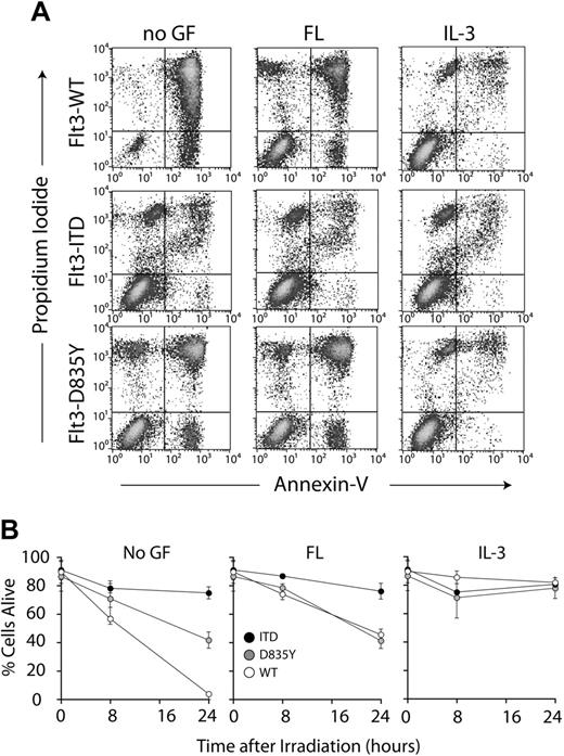 Figure 4. Expression of Flt3-D835Y and Flt3-ITD induces radiation-induced apoptosis resistance in myeloid cells. Cells were washed and cytokine starved in 0.5% FCS for 3 hours and exposed to 5 Gy γ irradiation. Thereafter, cells were incubated for up to 24 hours in the presence or absence of the indicated cytokines, stained with annexin V and propidium iodide, and analyzed by flow cytometry. (A) Dot plots of the flow cytometric analyses up to 24 hours after irradiation. (B) Time course of cell viability after irradiation. Cells that were negative for annexin V and propidium iodide were counted as viable cells. Viability was calculated as a percentage of these cells over the total cell population. The data shown represent the average of 3 independent experiments ± SD. The observed differences of WT versus ITD versus D835Y (left) and ITD versus WT and D835Y (middle) were statistically significant (P < .01). No significant induction of apoptosis was observed under the chosen experimental conditions in the absence of irradiation (data not shown).