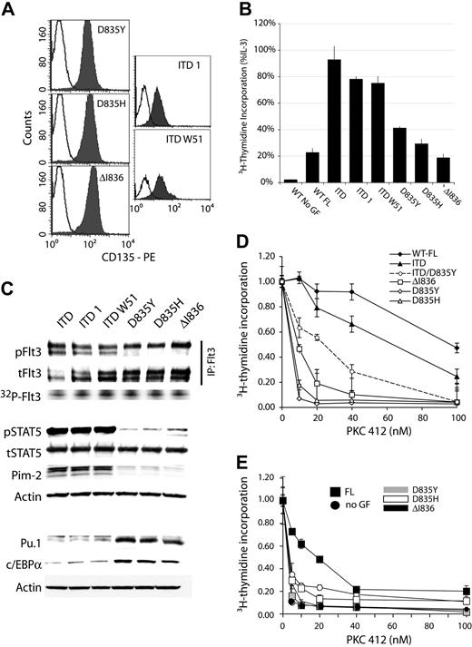 Figure 7. Similar signal transduction properties and sensitivity toward PKC412 of Flt3-TKD mutations. (A) Surface expression of Flt3-TKD and ITD mutations. The 32D cells expressing the indicated constructs were analyzed by flow cytometry using an anti–human Flt3 (CD135) antibody. The shaded curves show staining with anti-Flt3 antibody; open curves, the isotype control. (B) Comparison of the DNA synthesis of the different Flt3 mutant cell lines by 3H-thymidine incorporation. 32D cells expressing the indicated Flt3 constructs were starved for 12 hours in medium supplemented with 0.5% serum. Subsequently, cells were exposed to FL or IL-3 or left unstimulated. Data are shown as percentage of thymidine incorporation compared with thymidine incorporation of the respective cell line under IL-3 stimulation. (C) Signaling properties of Flt3 mutants. The indicated cell lines were analyzed for Flt3 autophosphorylation using activation state-specific phospho-Flt3 (Y591) antibody. Flt3 kinase assays were performed as described in “Patients, materials, and methods.” The activation of the STAT5 pathway and expression of myeloid transcription factors was analyzed as described in “Patients, materials, and methods.” (D) The 32D cells containing the indicated Flt3 constructs were analyzed for their proliferation by 3H-thymidine incorporation as described in panel B under increasing concentrations of PKC412. Each data point represents the mean of 3H-thymidine incorporation of 3 samples ± SD. The numbers are given as fraction of DNA synthesis in the absence of PKC412. (E) Effect of FL on sensitivity of Flt3-TKD mutants toward PKC412 was analyzed in presence or absence of FL under increasing concentration of the inhibitor. Data represent mean values ± SD of triplicates.