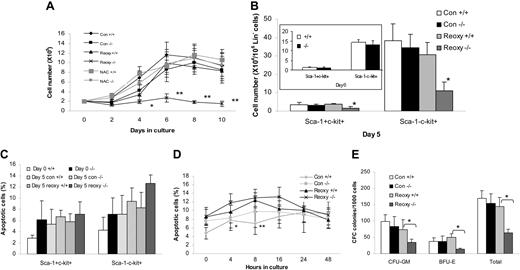 Figure 1. Effects of hyperoxic-hypoxic-hyperoxic treatment on expansion of WT and Fancc–/–BM lin– cells. (A) Growth of WT and Fancc–/– BM lin– cells over 10 days. Cells were incubated in hyperoxia (21% O2; Con: control) only or first subjected to 2 cycles of hypoxia (1% O2) for 4 hours then hyperoxia for 1 hour (Reoxy: reoxygenation). The cells were then incubated in hyperoxia for 10 days. The NAC cultures were the same as the reoxygenated cells except that the medium contained N-acetyl-L-cysteine (NAC) at a concentration of 1 mM. Data represent the mean ± SD of 3 independent experiments. *P < .05 between reoxygenated Fancc–/– cells and untreated Fancc–/– or WT NAC or Fancc–/– NAC samples; **P < .05 between reoxygenated Fancc–/– cells and any one of all other groups. (B) Expansion of BM cells enriched for HSCs and progenitor cells. The inserted panel shows the initial numbers of the Sca-1+ c-kit+ and Sca-1– c-kit+ subpopulations in the BM Lin– cells. WT and Fancc–/– BM lin– cells (1 × 105/mL) were treated as described in panel A. At day 5, the cells were counted and then stained with Sca-1–PE and c-kit–APC antibodies and analyzed by flow cytometry. The cell numbers were calculated by multiplication of the total numbers of cells harvested with the percentage of each phenotype of Lin– cells determined by flow cytometric analysis. The mean ± SD of 3 independent experiments is shown. *Statistical significance between WT and Fancc–/– samples at P < .01. (C) WT and Fancc–/– BM lin– cells described in panel B were counted on day 0 and day 5 after hyperoxic-hypoxic-hyperoxic treatment, stained with Sca-1–PE and c-kit–APC antibodies, and then with annexin V–FITC. Percentages of apoptosis in the 2 subpopulations were analyzed by flow cytometry. Data represent the mean ± SD of 3 independent experiments. (D) Apoptosis in WT and Fancc–/– BM lin– cells described in panel D except that analysis was conducted at 0, 4, 8, 16, 24, and 48 hours after hyperoxic-hypoxic-hyperoxic treatment. Data represent the mean ± SD of 3 independent experiments. *P < .05 between reoxygenated Fancc–/– cells and untreated Fancc–/– cells. **P < .01 between reoxygenated Fancc–/– and reoxygenated WT cells. (E) Effect of reoxygenation on BM progenitor activity. The colony-forming cell (CFC) activity of WT and Fancc–/– BM lin– cells was evaluated after hyperoxia (Con) only or 2 cycles of hyperoxic-hypoxic-hyperoxic treatments (Reoxy). Data shown represent the number (mean ± SD) of CFU-GMs, BFU-Es, and total number of colonies from 3 independent experiments. *Statistical significance between WT and Fancc–/– samples at P < .05.