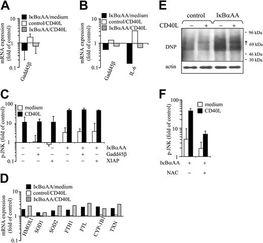 Figure 3. Oxidative stress accounts for JNK up-regulation in NF-κB–deficient DCs. (A-B,D) DCs were transfected with pIRES2-EGFP or IκBαAA-pIRES2-EGFP, FACS-sorted, and cultured in the absence or presence of CD40L for 6 hours. RNA was extracted and either (A) subjected to qPCR analysis or (B,D) processed for microarray analysis. (D) Transcripts investigated included those for HMOX1, SOD1 and SOD2, FTH1, FTL, CYP-1B1, and TXN. Data are presented as x-fold induction of respective transcripts over values obtained from control-transfected, nonstimulated DCs. (A) Mean ± SD of 4 independent experiments. (C) Overexpression of XIAP or Gadd45β does not impair up-regulation of p-JNK in IκBαAA-transfected DCs. DCs were transfected with indicated vectors and stimulated for 30 minutes with CD40L. Cells were washed, fixed, and permeabilized for intracellular staining with mAbs specific for p-JNK. Data are presented as x-fold induction of JNK phosphorylation over JNK phosphorylation of nonstimulated, control-transfected cells. Mean ± SD of 3 independent experiments. (E-F) Augmented oxidative stress accounts for JNK induction in NF-κB–deficient DCs. Transfected DCs were sorted and stimulated for 30 minutes with CD40L. Cells were lysed, and proteins were derivatized for the detection of carbonylation, as described in “Materials and methods.” Proteins were separated by SDS-PAGE and transferred onto nitrocellulose membranes. (E) Blots were probed with DNP-specific antibodies. Strikingly augmented levels of carbonylated proteins were detected in IκBαAA-transfected DCs. Minor qualitative differences in the pattern of oxidized proteins were observed between CD40L-stimulated and nonstimulated cells. *Band of approximately 75 kDa that selectively appeared on CD40 ligation. (F) Cells preincubated for 30 minutes with N-acetyl-L-cysteine (NAC; final concentration, 60 mM) or medium only were stimulated or were not stimulated with CD40L for 30 minutes and were subjected to p-JNK immunostaining and FACS analysis. Mean ± SD of 3 independent experiments are shown.