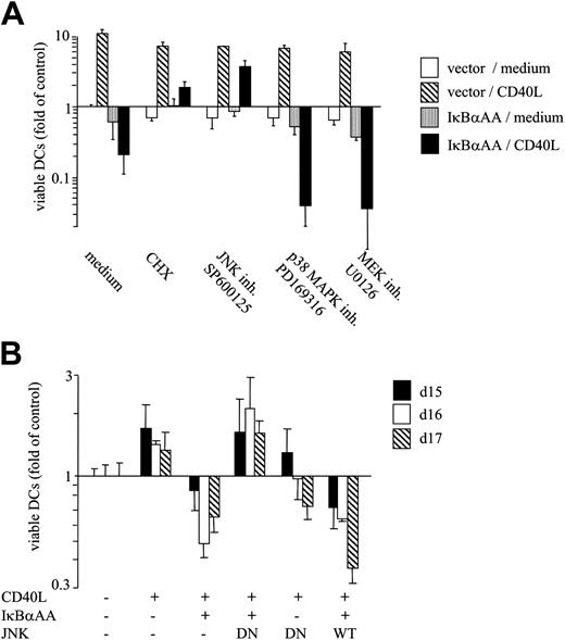 Figure 5. Blockade of JNK/AP-1 activation and protein neosynthesis restores CD40-mediated survival of NF-κB–deficient DCs. (A) Pharmacologic inhibition of JNK/AP-1 activation, but not of p38 MAPK or MEK/ERK function, restores CD40L-dependent survival in NF-κB–deficient DCs. DCs were transfected with pIRES2-EGFP or IκBαAA-pIRES2-EGFP. FACS-sorted transfectants were cultured for 3 days in the absence or presence of CD40L. Inhibitors were used at 10 μg/mL (cycloheximide, CHX) or 1 μM (SP600125, PD169316, U0126). (B) Transfection of DN-JNK restores CD40L-dependent survival in NF-κB–deficient DCs. DCs were transfected with IκBαAA or control vector together with plasmids encoding DN-JNK, WT-JNK, or empty control vector on day 11.5. DCs were sorted and reseeded on day 12, exposed to CD40L or medium only, and cultured for the indicated time periods. (A-B) Results are presented as mean x-fold alteration of survival (mean ± SD of triplicate experiments) relative to the survival of vector-transfected DCs cultured in medium only. (B) Data were normalized to control cells for each individual time point presented. Results are representative of at least 3 independent experiments.