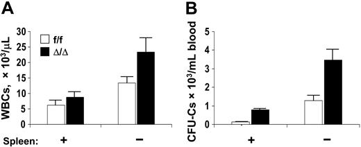 Figure 5. Circulating WBCs and CFU-Cs in a cohort of control and VCAM-1–ablated mice, before and 8 weeks after splenectomy. (A) WBCs; (B) CFU-Cs. Mice were splenectomized at 9 to 14 weeks of age and tested 8 weeks after splenectomy (Spleen: –). Note significant increases in circulating CFU-Cs after splenectomy. Error bars indicate standard error of the mean (SEM).