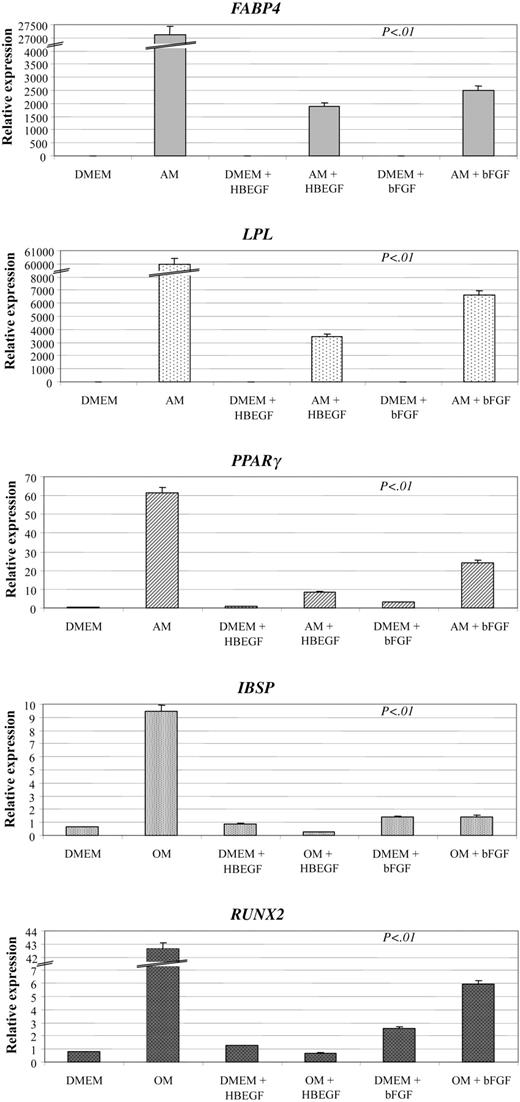 Figure 7. Analysis of differentiation gene expression by quantitative RT-PCR. The presence of HB-EGF (50 ng/mL) together with differentiation media (AM, adipogenic medium; OM, osteogenic medium) in a 2-week culture is associated with the lack of specific differentiation gene up-regulation. This result is less evident with bFGF (1 ng/mL). FABP4 indicates fatty acid-binding protein 4, adipocyte differentiation; LPL, lipoprotein lipase, adipocyte differentiation; PPARγ, peroxisome proliferative active receptor-γ, adipocyte differentiation; IBSP, integrin-binding sialoprotein II, osteoblast differentiation; and RUNX2, runt-related transcription factor 2, osteoblast differentiation. The expression of each mRNA was calculated by relative quantification using the average of GAPD (glyceraldehyde-3-phosphate dehydrogenase) and ACTB (beta-actin) transcript level as reference (4 duplicates). P < .01 refers to the difference between the arms with differentiation medium (AM or OM) without growth factors and those with either HB-EGF or bFGF, and to the reciprocal comparison of the 2 growth factors. DMEM indicates culture medium without growth factors or differentiation agents. Error bars indicate means ± SD of 4 different experiments.