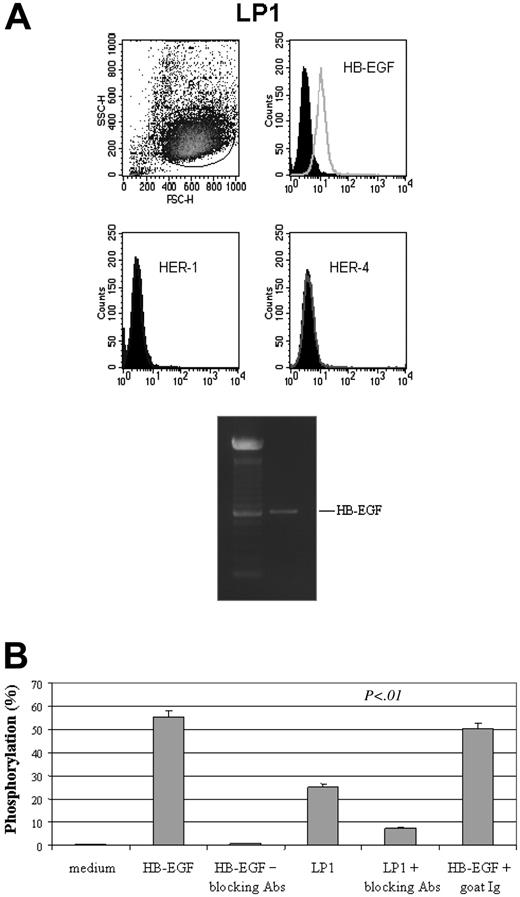 Figure 9. HB-EGF–producing cells activate HER-1 signaling in MSCs. (A) Coculture of MSCs with cells that normally produce HB-EGF, such as LP1 myeloma cell line (membrane HB-EGF positive, soluble HB-EGF producing, and membrane HER-1 and HER-4 negative) led to a significant HER-1 phosphorylation in MSCs, compared with that observed using human recombinant HB-EGF (50 ng/mL), which is prevented by the use of blocking antibodies against HB-EGF (B). As phosphorylation is the event that triggers all HER-1–dependent intracellular activities,9 this evidence suggests that HB-EGF/HER-1 signaling may be operational in vivo. SSC indicates side scatter; FSC, forward scatter. Error bars indicate means ± SD of 3 different experiments.